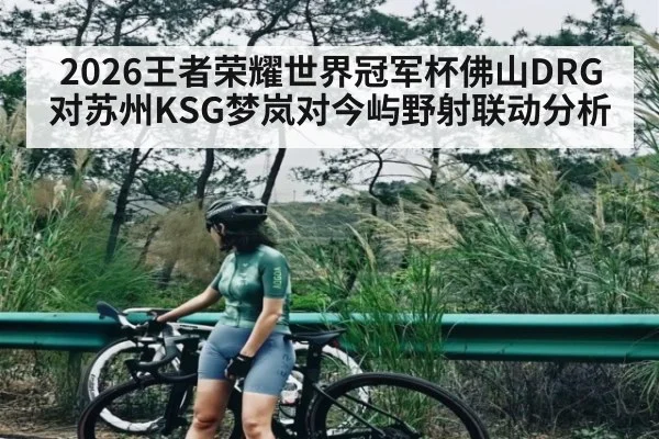2026王者荣耀世界冠军杯佛山DRG对苏州KSG梦岚对今屿野射联动分析