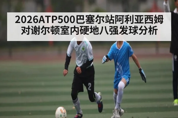 2026ATP500巴塞尔站阿利亚西姆对谢尔顿室内硬地八强发球分析